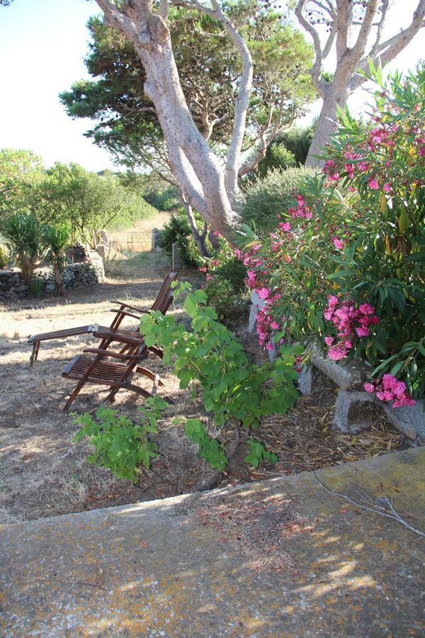 Bed and Breakfast Le 25 Tartarughe Санта-Тереза-Галлура Экстерьер фото