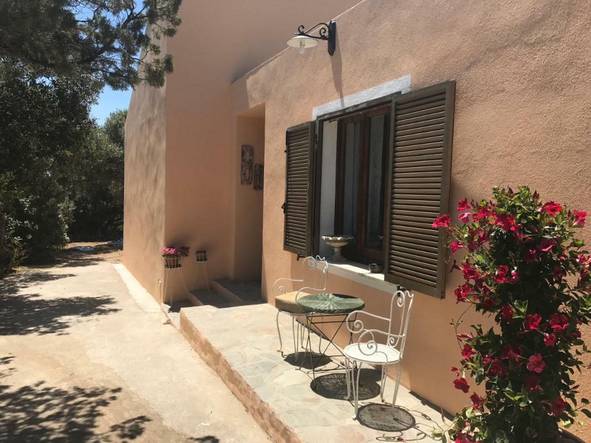Bed and Breakfast Le 25 Tartarughe Санта-Тереза-Галлура Экстерьер фото